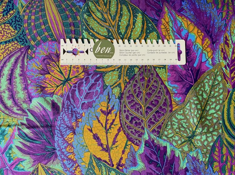 Coleus lavender - 1 Stück = 2,60 Meter