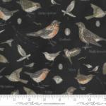 Botanicals - Vögel charcoal - 1 Stück = 2,80 Meter