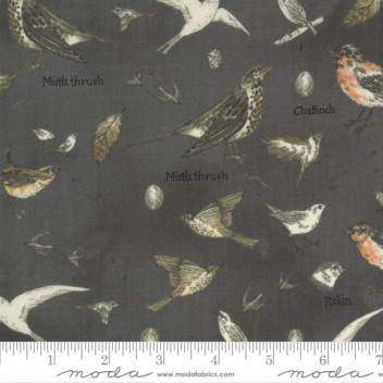 Botanicals - Vögel Graphite - 1 Stück = 2,30 Meter