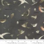 Botanicals - Vögel Graphite - 1 Stück = 2,30 Meter