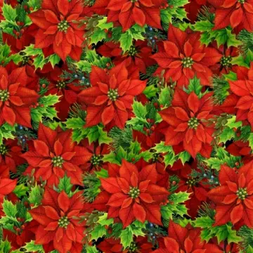 Musical Christmas - Poinsettias Red  - 1 Stück = 0,90 Meter