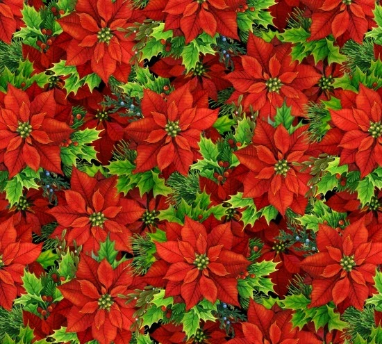 Musical Christmas - Poinsettias Red  - 1 Stück = 0,90 Meter