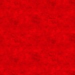 Cardinal - Canvas Texture