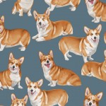 Corgie