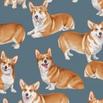 Corgie