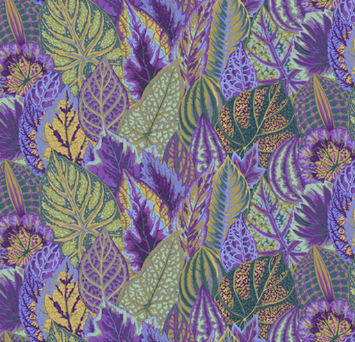 Coleus lavender - 1 Stück = 2,60 Meter