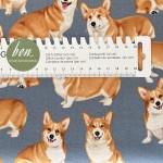 Corgie