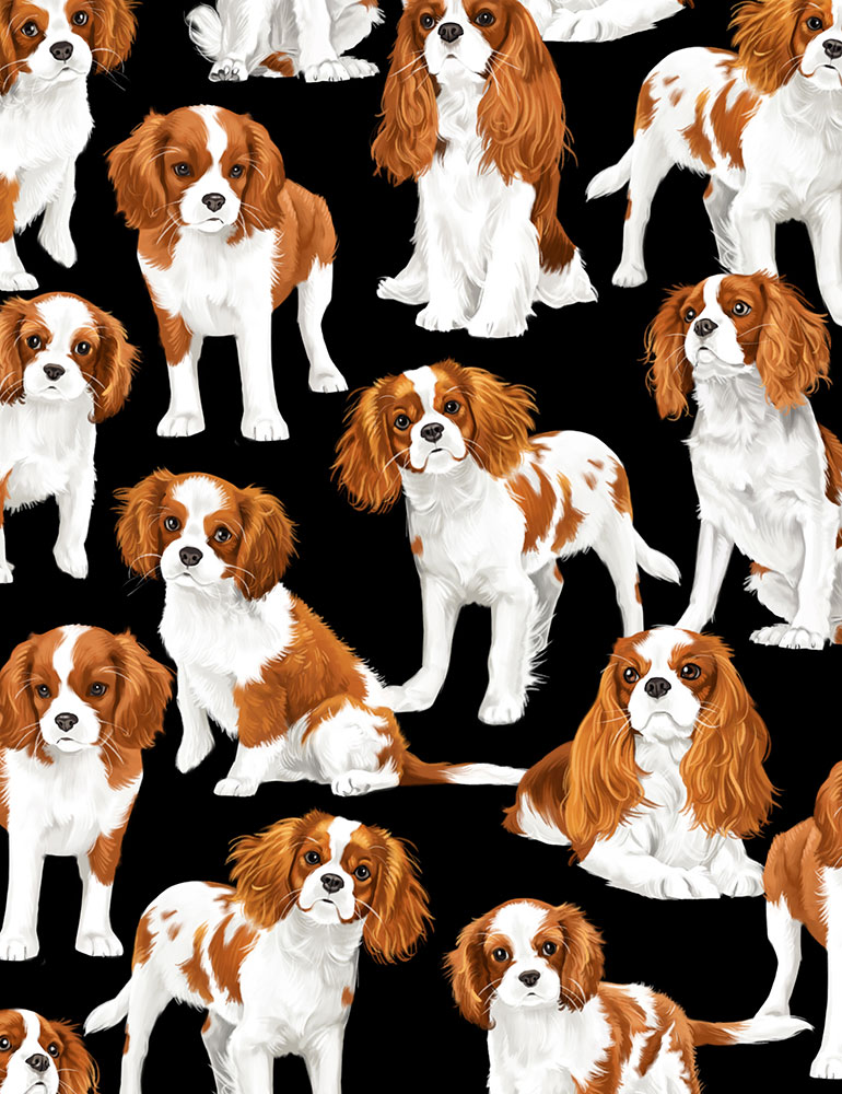 Cavalier King Charles Spaniel