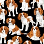 Cavalier King Charles Spaniel