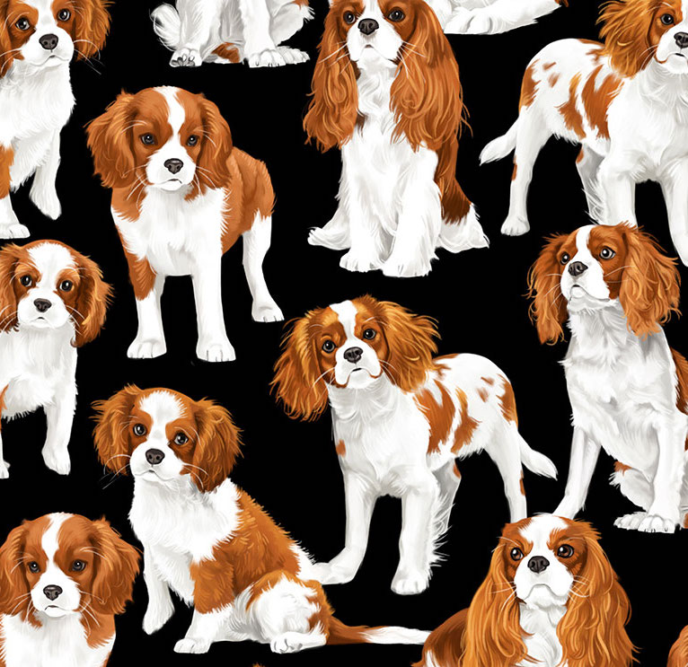 Cavalier King Charles Spaniel