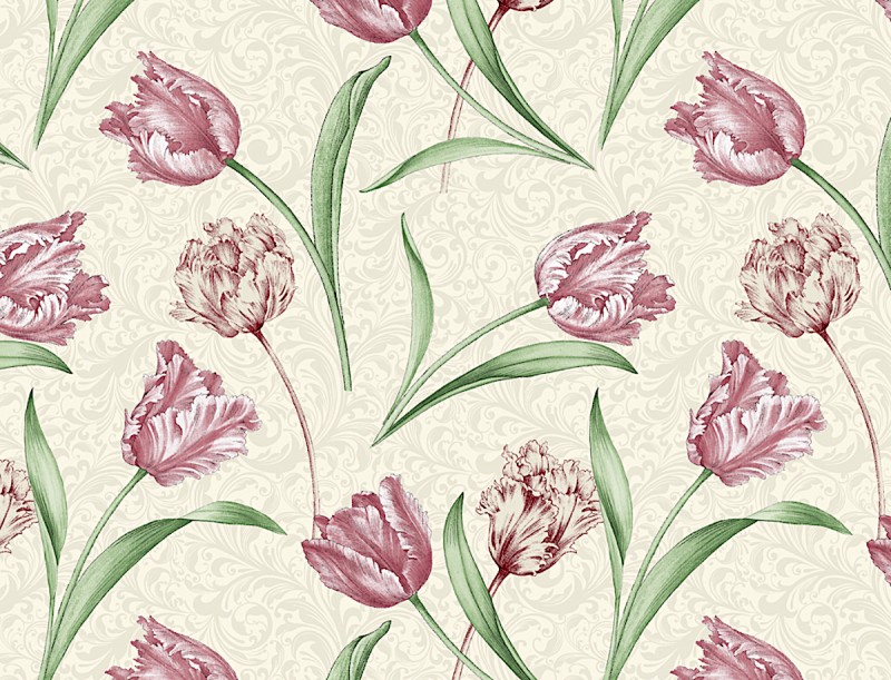 Etched Tulips creme