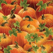 Pumkin Rust - Harvest Festival