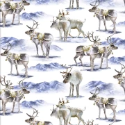 Here Comes Santa - Reindeer Romp