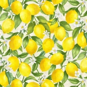 Lemon Bouquet - Zitronenzweig mit Blättern