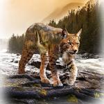 Luchs Panel