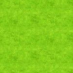 Lime Twist - Canvas Texture