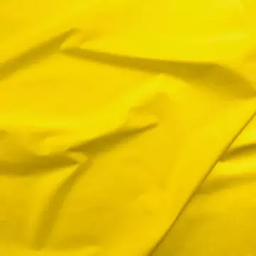 Paintbrush Solids -Pineapple