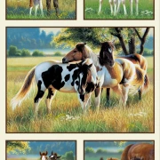 Pasture Buddies - Panel creme