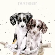 Together is Better - Panel Löwen