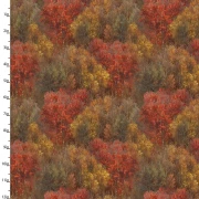 Whitetail Country - Forest Texture