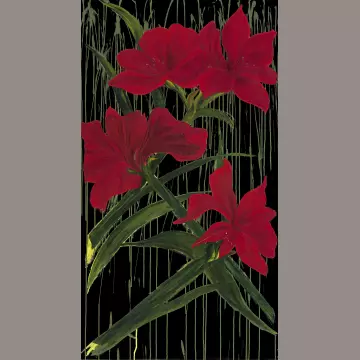 Winter Garden  - Amaryllis auf schwarz Panel