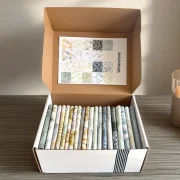 Winterstone - beny Box