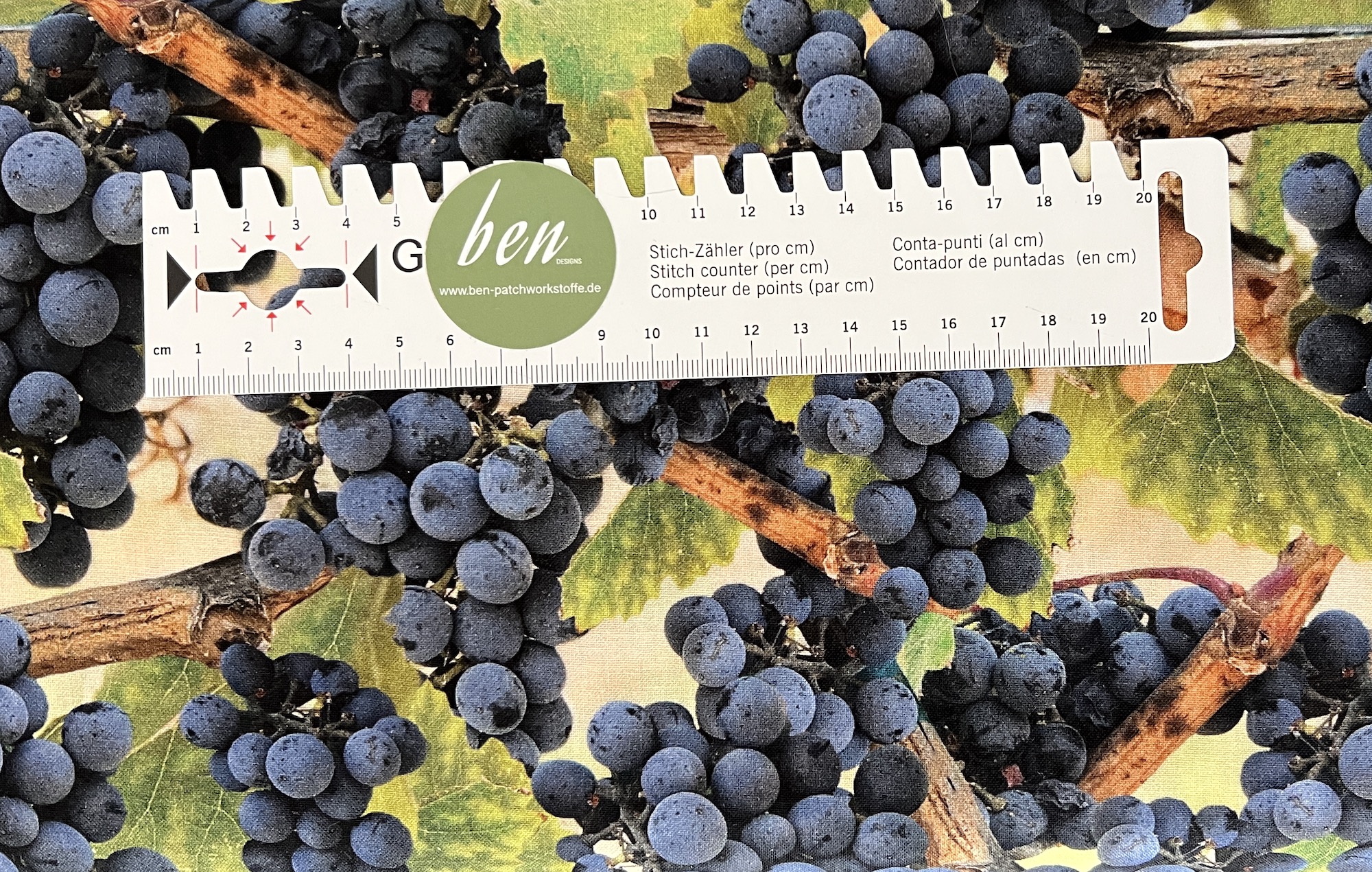 Blaue Weintrauben - 1 Stück = 1,90 Meter