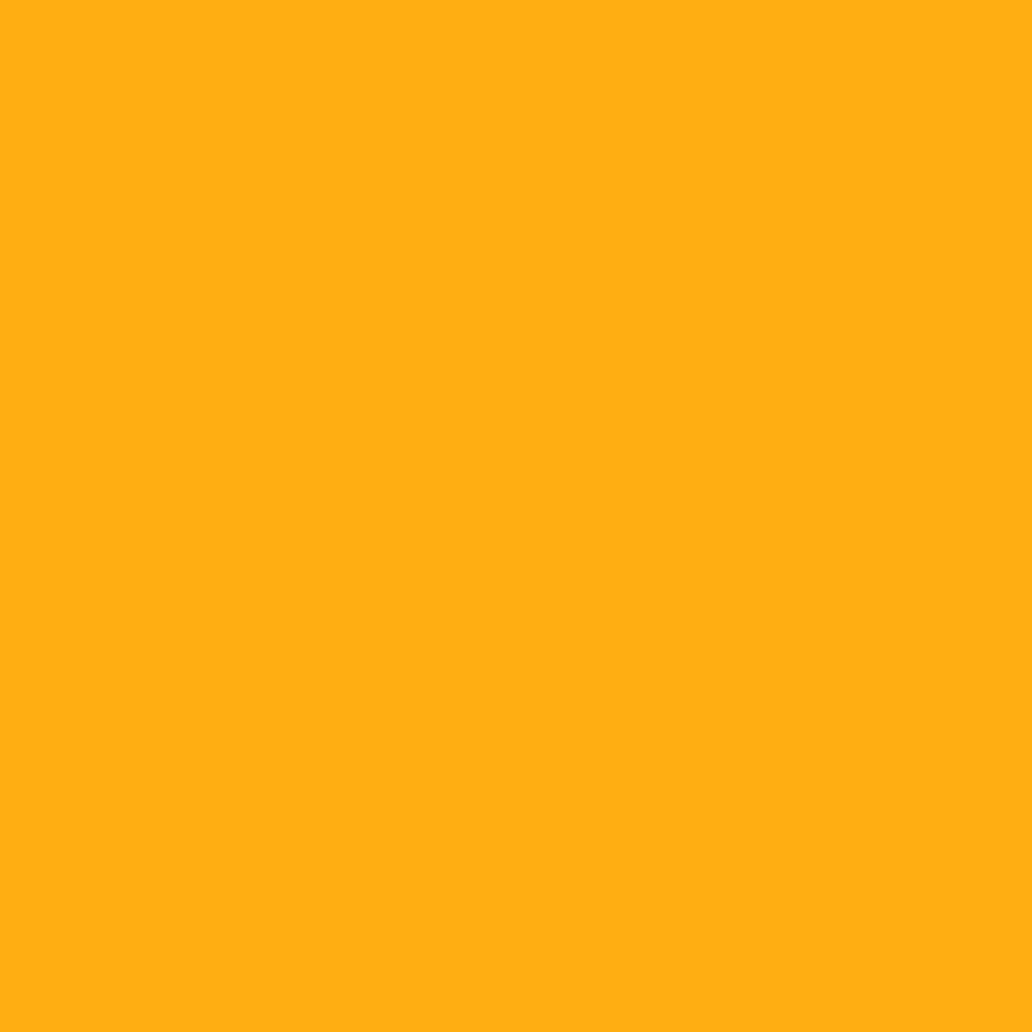 Paintbrush Solids - Clementine
