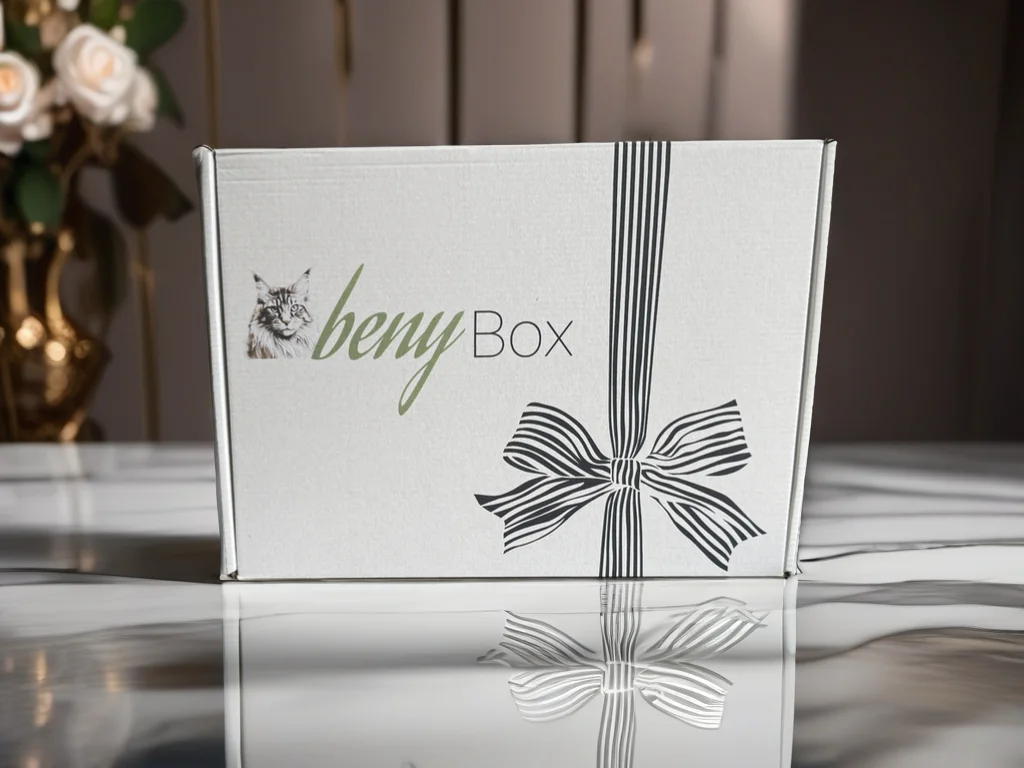Surface Design - beny Box